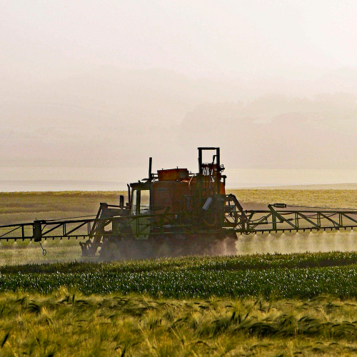 O papel dos acordos fitossanitários na exportação de produtos agrícolas